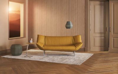 Les Meilleures Couleurs pour un Canapé en Cuir : Un Guide pour 2024