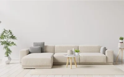 News – Août 2022 Cultivez un design singulier